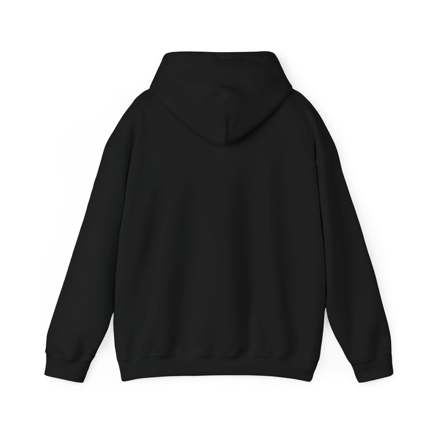 I Have Two Titles Brother And Gamer Hooded Sweatshirt